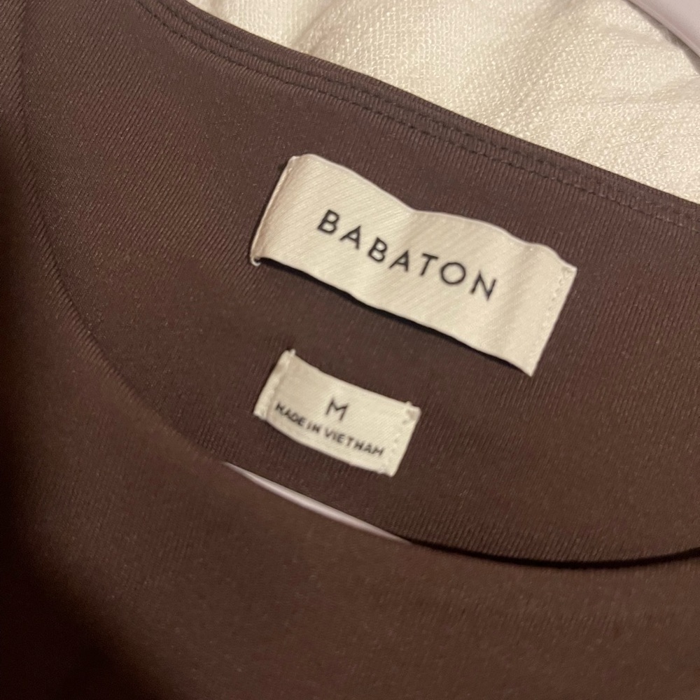 Aritzia Chocolate Brown Cropped Tee